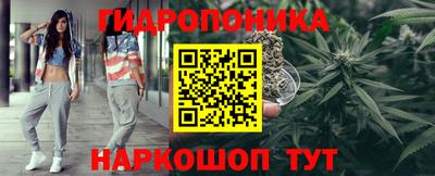 ГАЛЛЮЦИНОГЕННЫЕ ГРИБЫ Берёзовский