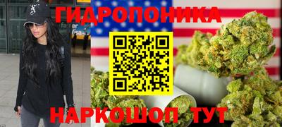 ГАЛЛЮЦИНОГЕННЫЕ ГРИБЫ Берёзовский