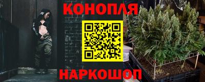 ГАЛЛЮЦИНОГЕННЫЕ ГРИБЫ Берёзовский