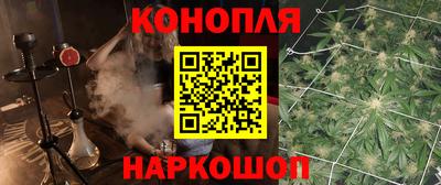ГАЛЛЮЦИНОГЕННЫЕ ГРИБЫ Берёзовский