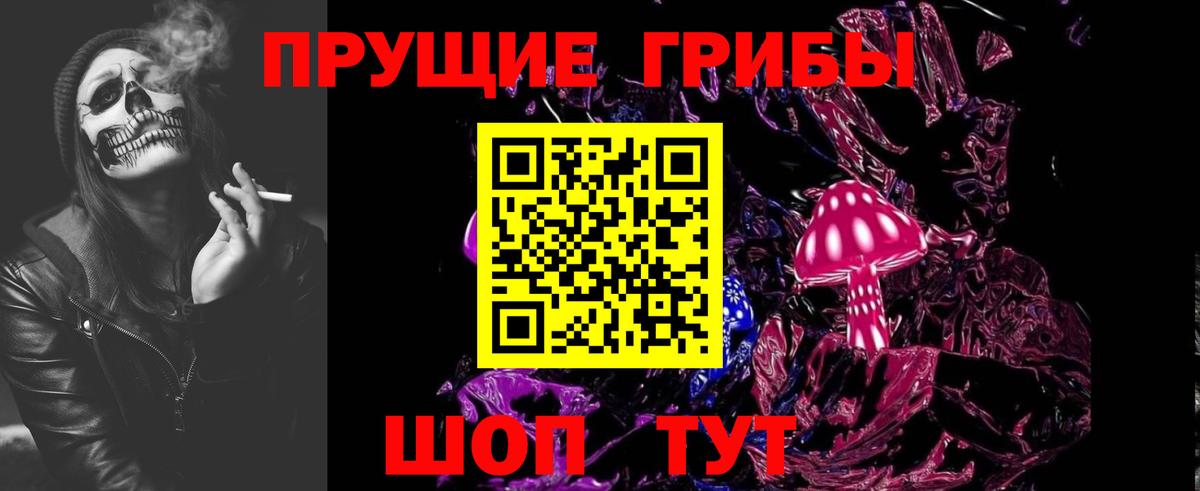 Псилоцибиновые грибы GOLDEN TEACHER Карталы