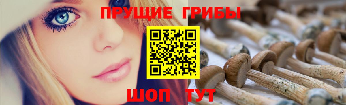 Галлюциногенные грибы мухоморы  Вход с VPN  Псилоцибиновые грибы Magic Shrooms  Карталы 